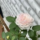밀물Bar 이미지