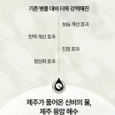 인셀덤리브레