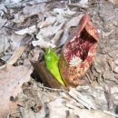 미래숲유치원 이미지