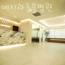 예치과병원 | 강남구 삼성동 동물병원 강남예치과동물병원 위치 오는길 후기