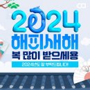 용인대 성원 태권도 이미지