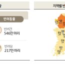 은행나무종합동물병원 이미지