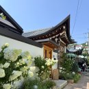 전통토끼식당 | 강화도 독채 펜션 한옥감성이 좋았던 시간토끼