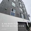 바다호텔 | 묵호 호텔 바다 후기｜바다 앞 오션뷰 숙소 솔직 리뷰