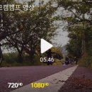더킹바이크