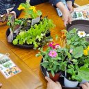 연수구치매안심센터 이미지