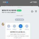 헬로밀가루부산 이미지