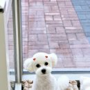 오늘도 너에개 이미지