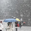 이례로-3 이미지