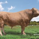 만금농장 이미지