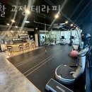 수원시청역 헬스장 재활 교정 테라핏 가격 위치 이벤트