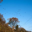 서도중학교 볼음분교 이미지