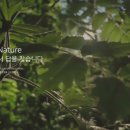 ㈜퓨어네이처 이미지