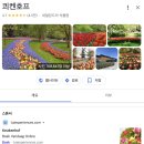 4월 3주차: 엄마랑 시애틀 섬 여행⛴