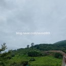 솔바람오토캠핑장 이미지
