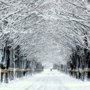 그대안의 풍경 이미지