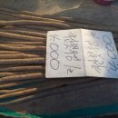 (주)소셜원 이미지