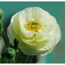 희망화원 이미지