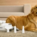 주식회사 페페 이미지