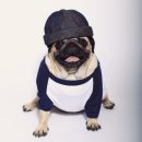 씨레이지 이미지