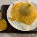 카페밤빙고