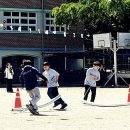 대구선원초등학교 이미지