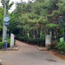 응봉공원 이미지