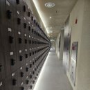 빌드업 골프 QED 아카데미 이미지