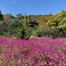 고운식물원 이미지
