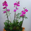 우림약품 이미지