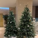 (주)호텔일루아 이미지