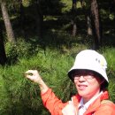 단우물어린이집 이미지