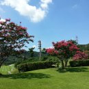 프린세스 골프클럽 이미지