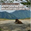 우리대형카정비 | 후쿠오카 여행기 - 렌터카로 즐기는 벳푸 아프리칸 사파리 로드 투어 솔직 후기