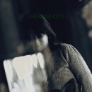 paradise city 이미지