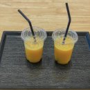 더포레스트하소로 이미지