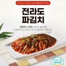 다인농수산 | "짜파게티의 영혼을 완성하다" – 역대급 가성비 7,700원으로 만나는 '남다른 파김치' 1kg, 이건 못 참지!