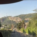 재현가축인공수정소 | July 2025, Italy Roma, Day 3-1 : 겹겹이 로마 페스츄리