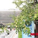충주시청 이미지