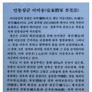 (고령여행) - 미숭산 산행 이미지