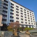 정항우케익카페무거점 | 광주 맹장수술 급성충수염 기독병원 외과 응급실 통합간호병동 입원 후기