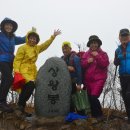 전남 백암산, 백양사 (15.11.7).. 이미지