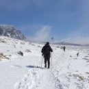 사랑마음이네 이미지