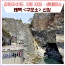 형제자원 | [포토로그] 강원특별자치도 선정! 「5월 지질·생태명소」 태백 <구문소와 전기고생대 지층> 답사🌿