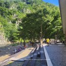 부남면 구천숲 이미지