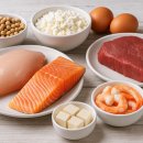 파이팅복싱다이어트 이미지