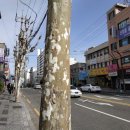 문국일치과의원 네이버블로그