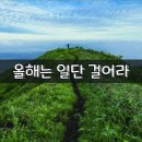 25년3월11일 화요일 서경방 출석부 이미지