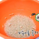 현미집