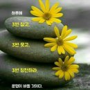 어은돌야영장 이미지